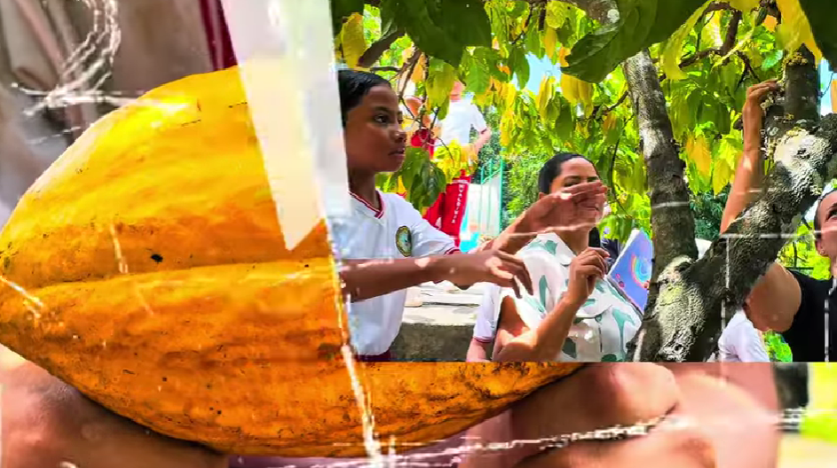 Aprendizaje con sabor a cacao