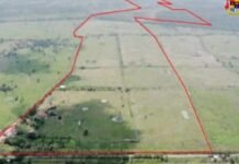 Extinción de dominio a bienes ligados al Bloque Bananero en Urabá