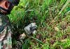 Antioquia enfrenta una de las peores crisis humanitarias de la última década por cuenta del conflicto armado, advierte el CICR