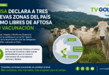 Omsa certifica nuevas zonas libres de aftosa en Colombia
