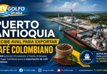 Puerto Antioquia recibe aval para exportar café colombiano