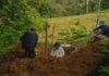 JEP entrega a familias cuerpos recuperados en Urabá