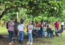 Después de tres décadas, la justicia ordena restituir 332 hectáreas a 12 familias campesinas de Tulapas, en Urabá