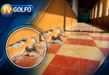 Gobernación de Antioquia intensifica evaluación de daños tras el sismo