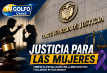 Corte Suprema condenó a 72 meses de prisión a hombre por violencia intrafamiliar contra su expareja
