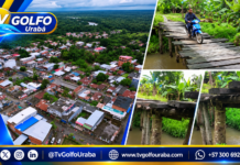 Comunidad de San Andrés, en Bajirá, pide intervención urgente de un puente deteriorado
