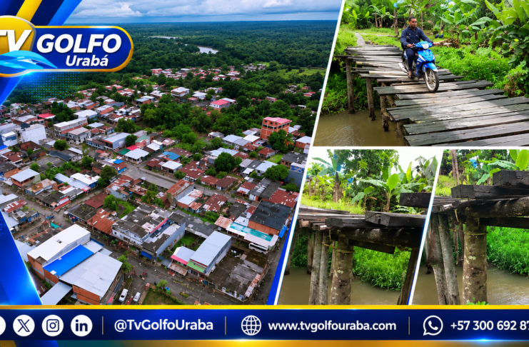 Comunidad de San Andrés, en Bajirá, pide intervención urgente de un puente deteriorado