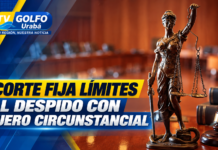 Corte Suprema establece límites al despido de trabajadores con fuero circunstancial durante reestructuraciones administrativas