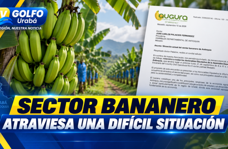 Sector bananero atraviesa una difícil situación