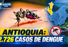 Antioquia mantiene la alerta por dengue: 2.726 casos y Urabá entre las zonas priorizadas