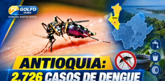Antioquia mantiene la alerta por dengue: 2.726 casos y Urabá entre las zonas priorizadas