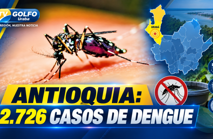 Antioquia mantiene la alerta por dengue: 2.726 casos y Urabá entre las zonas priorizadas