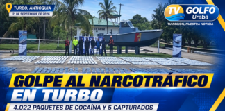 Golpe al narcotráfico en Turbo: incautan más de cuatro toneladas de cocaína y capturan a cinco personas