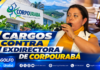 Cargos contra exdirectora de Corpourabá por presuntas irregularidades en decomiso de madera