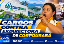 Cargos contra exdirectora de Corpourabá por presuntas irregularidades en decomiso de madera