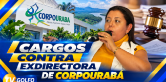 Cargos contra exdirectora de Corpourabá por presuntas irregularidades en decomiso de madera