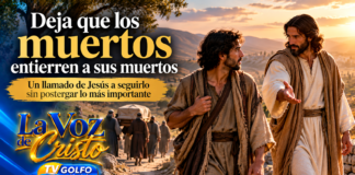 DEJA QUE LOS MUERTOS ENTIERREN A SUS MUERTOS