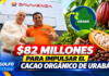 ANT INVIERTE $82 MILLONES PARA IMPULSAR EL CACAO ORGÁNICO DE URABÁ HACIA SUIZA