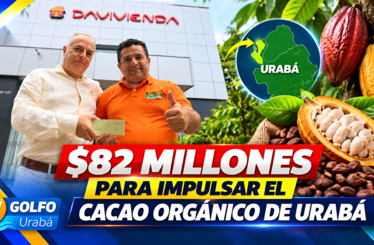 ANT INVIERTE $82 MILLONES PARA IMPULSAR EL CACAO ORGÁNICO DE URABÁ HACIA SUIZA