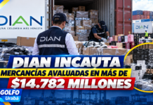 DIAN INCAUTA MERCANCÍAS AVALUADAS EN MÁS DE $14.782 MILLONES
