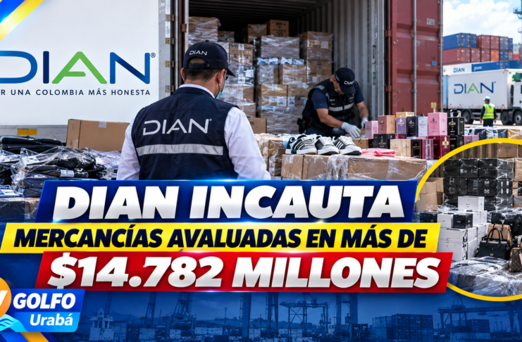 DIAN INCAUTA MERCANCÍAS AVALUADAS EN MÁS DE $14.782 MILLONES